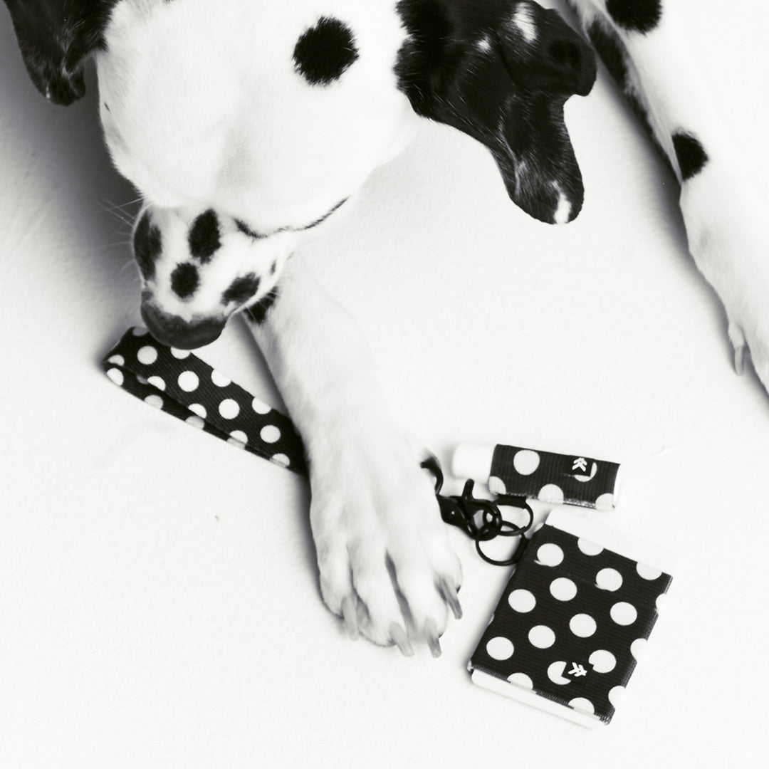Chapstick Holder Keychain - Polka Dot - Thread®